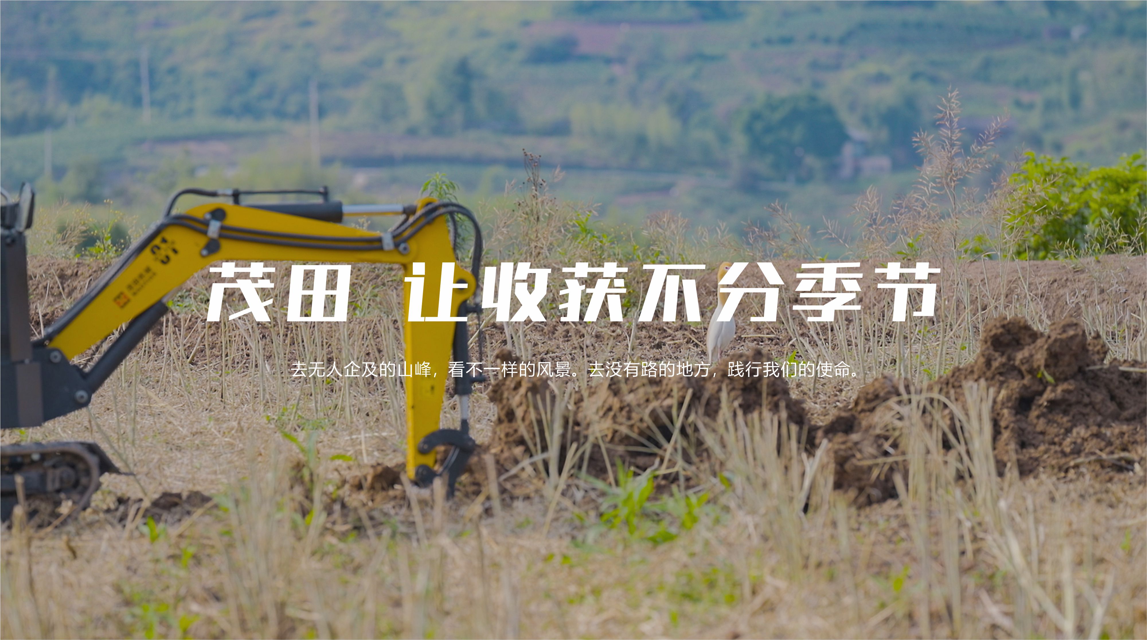 币游·国际(中国区)官方网站